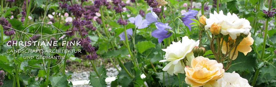 Rosen und Lavendel